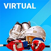 virtual games gurubhai247